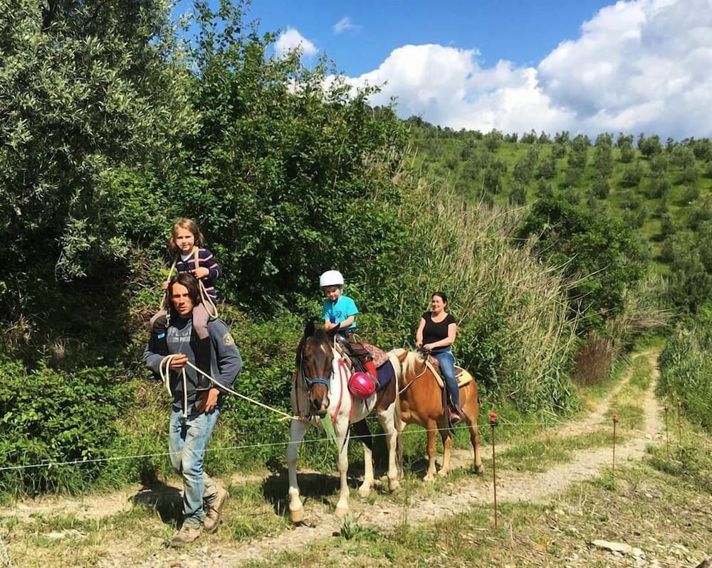 Agriturismo Il Giardino — photo 1 of 1
