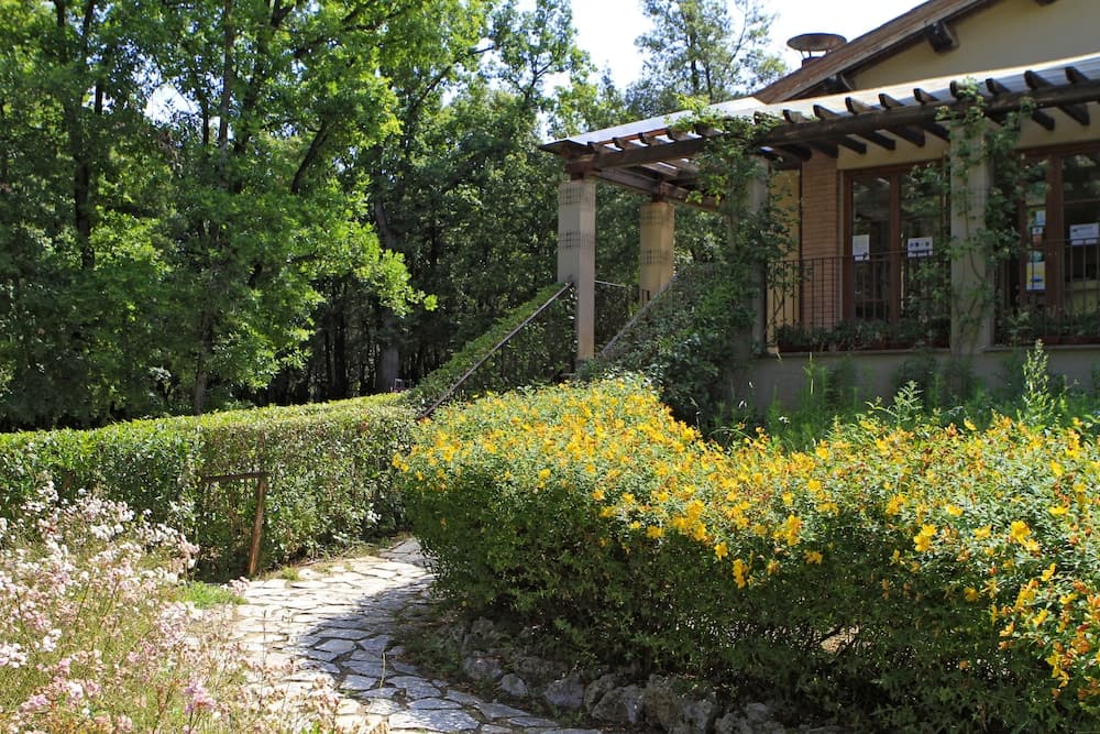Camping Boschetto Di Piemma — photo 1 of 21