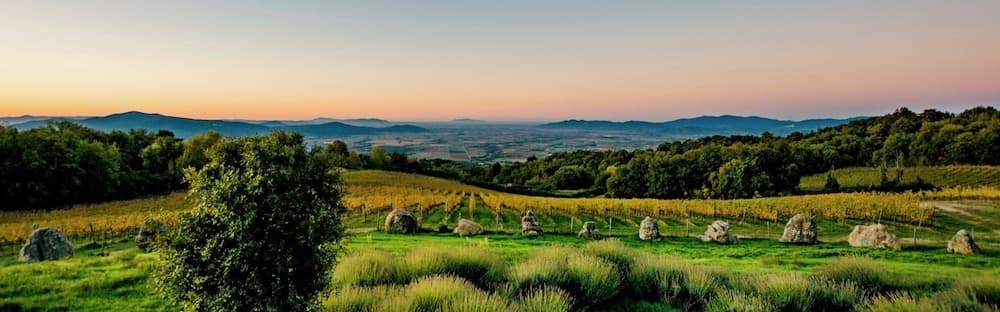 Valdonica Winery - Chill in Nature Lodge — photo 1 of 1