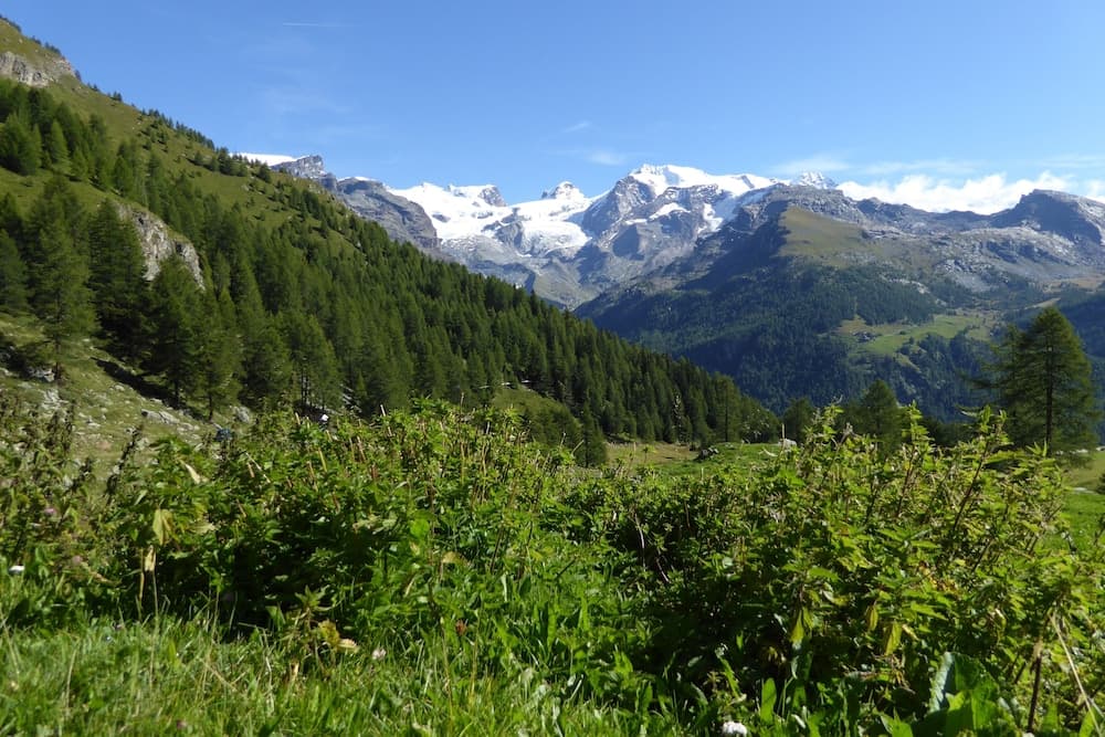 Le Chalet — photo 1 of 20