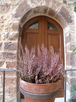 B&B A Casa delle Fate