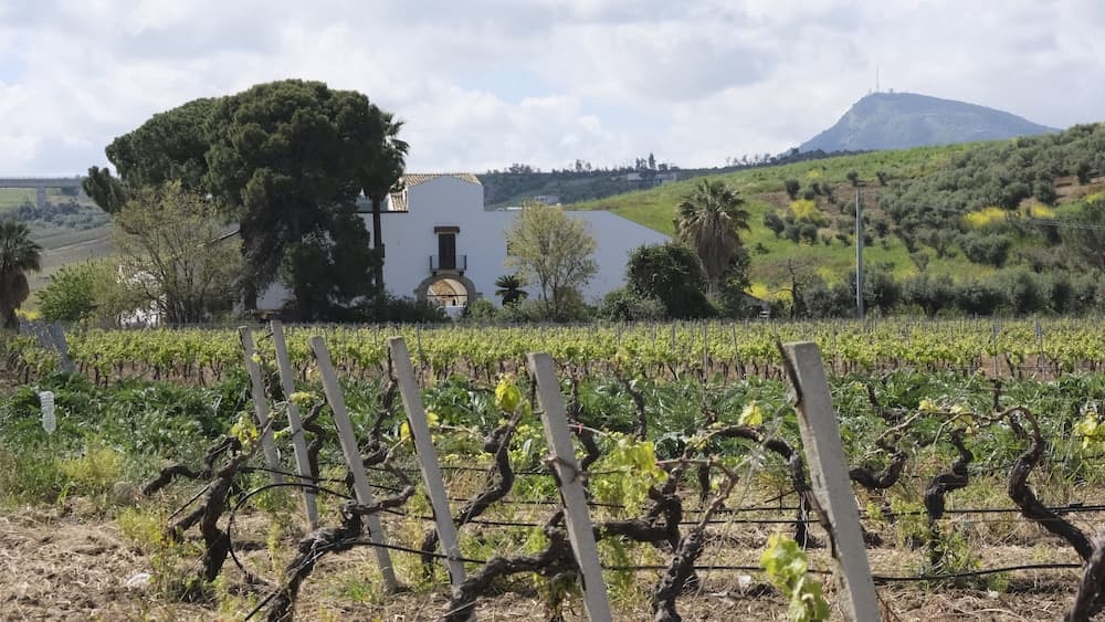 Fattoria Manostalla — photo 1 of 1
