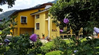 B&B L'Albero Maestro