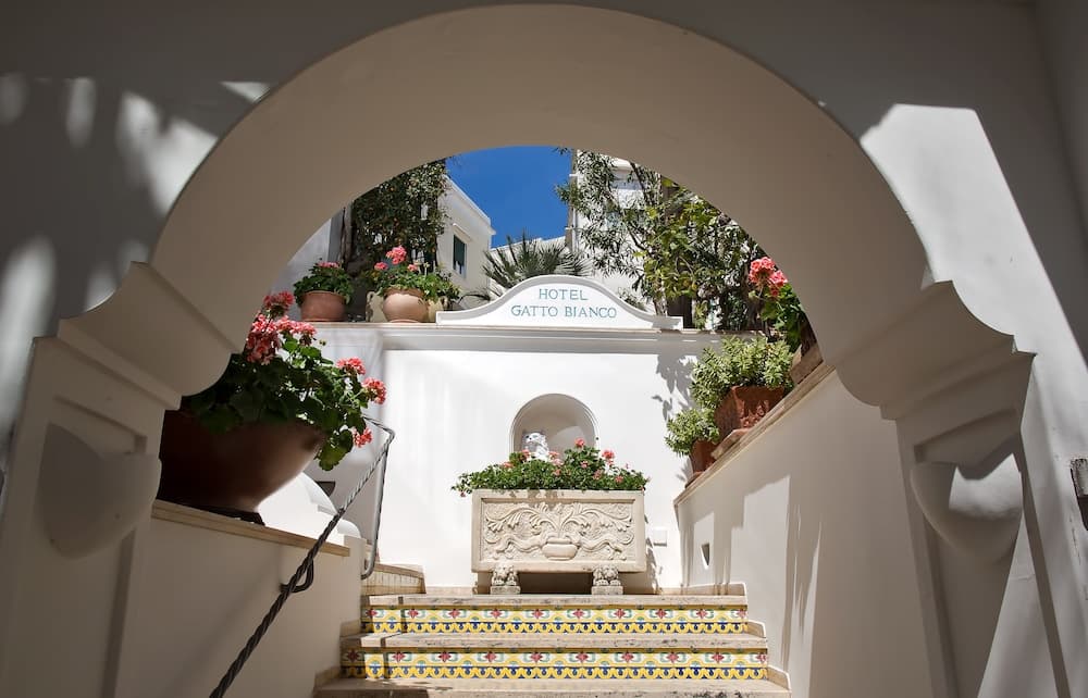 Gatto Bianco Hotel & SPA — photo 1 of 1