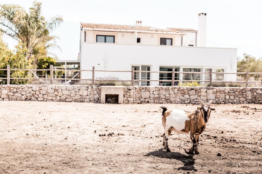Masseria Prosperi — photo 1 of 1