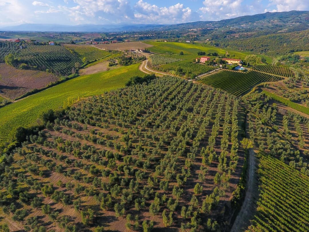 Agriturismo Luggiano — photo 1 of 1