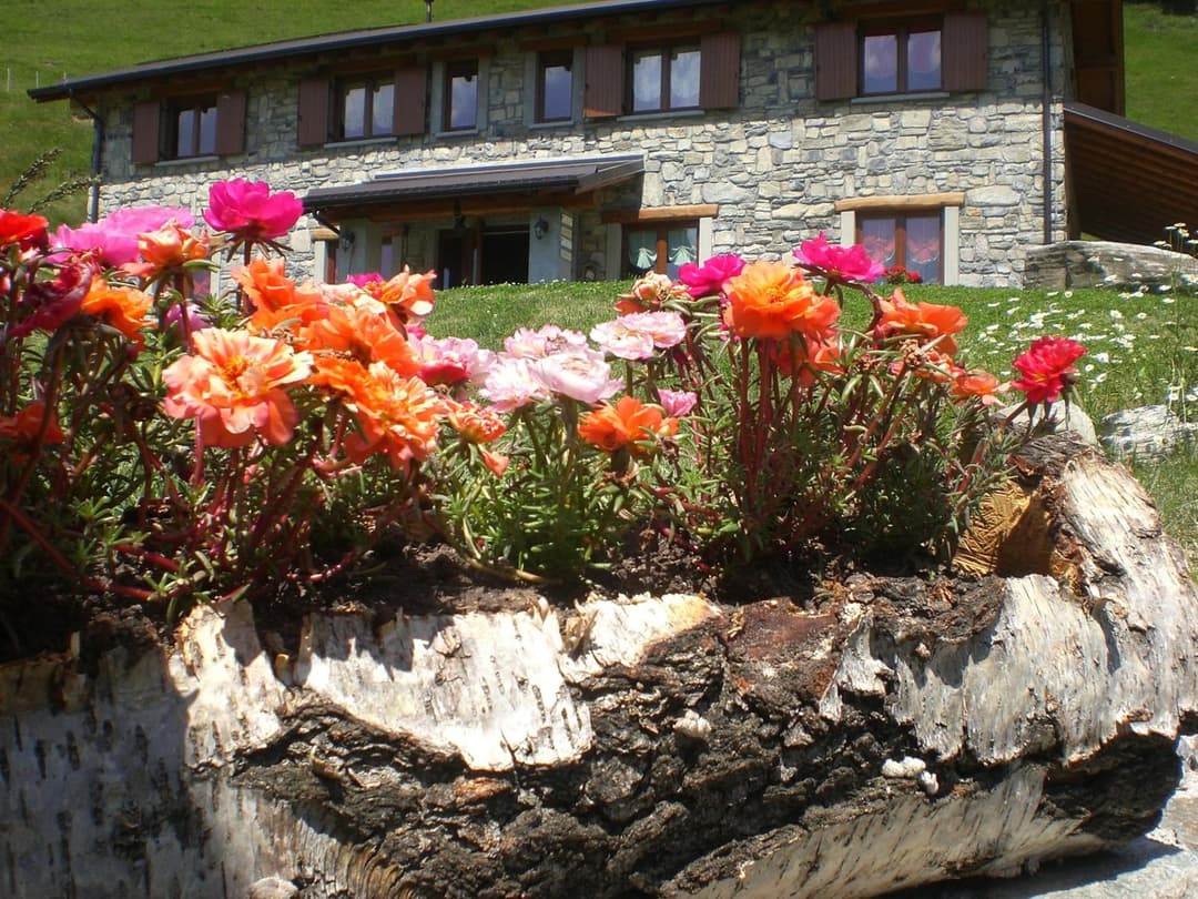 Agriturismo Le Radici — photo 1 of 1