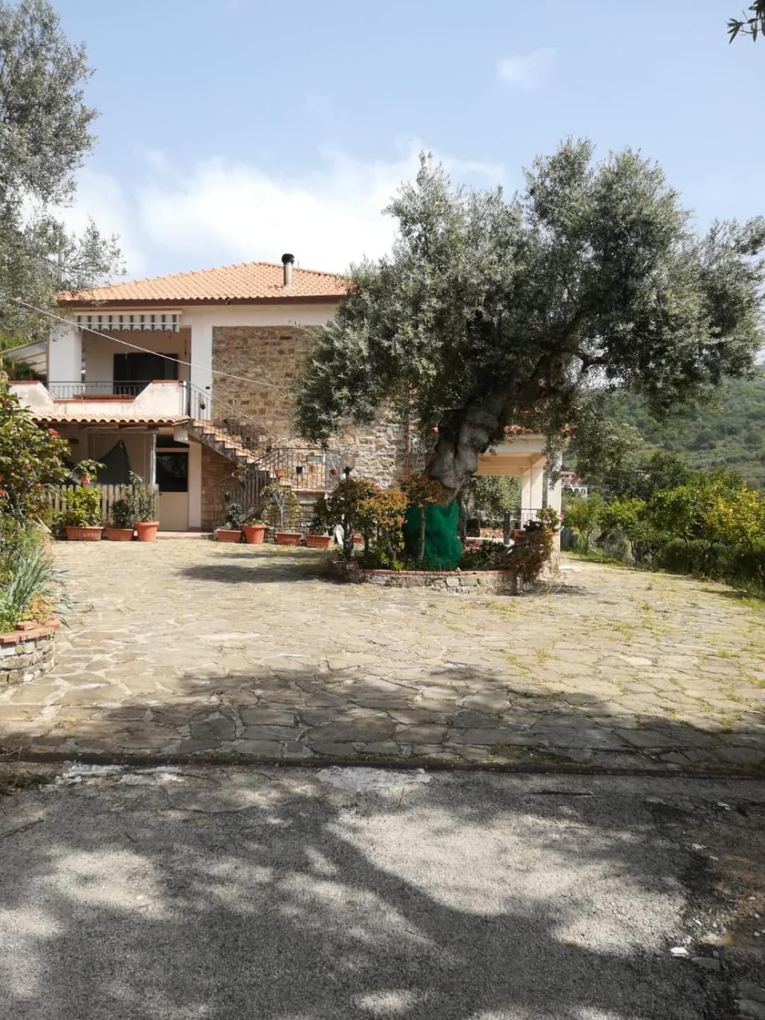 IL CONTE DI MARRAONE — photo 1 of 1