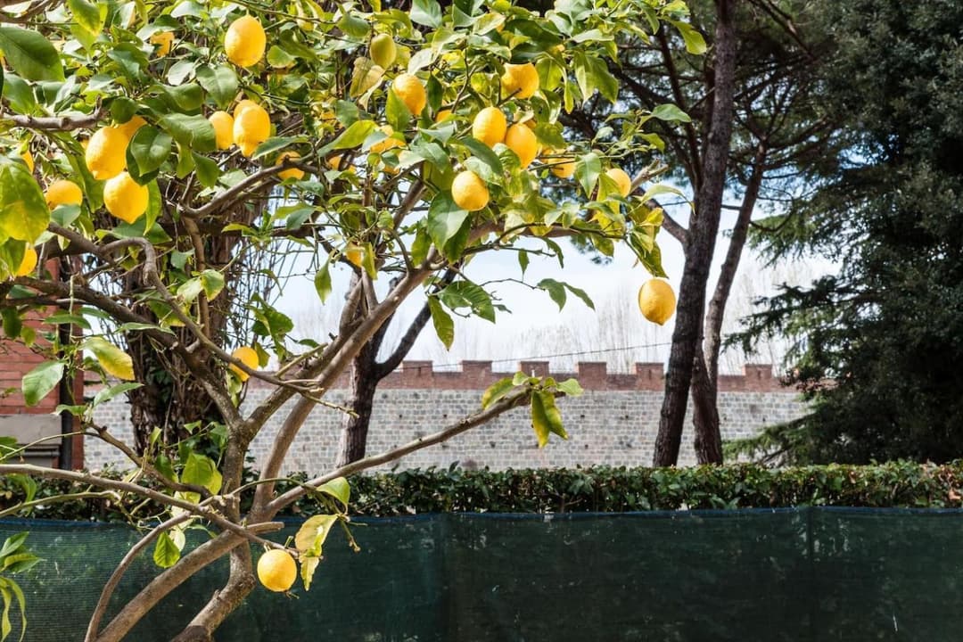 Lemon House YELLOW — photo 1 of 28