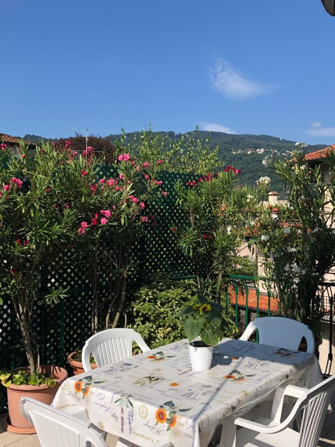 La Terrazza degli Oleandri — photo 1 of 1
