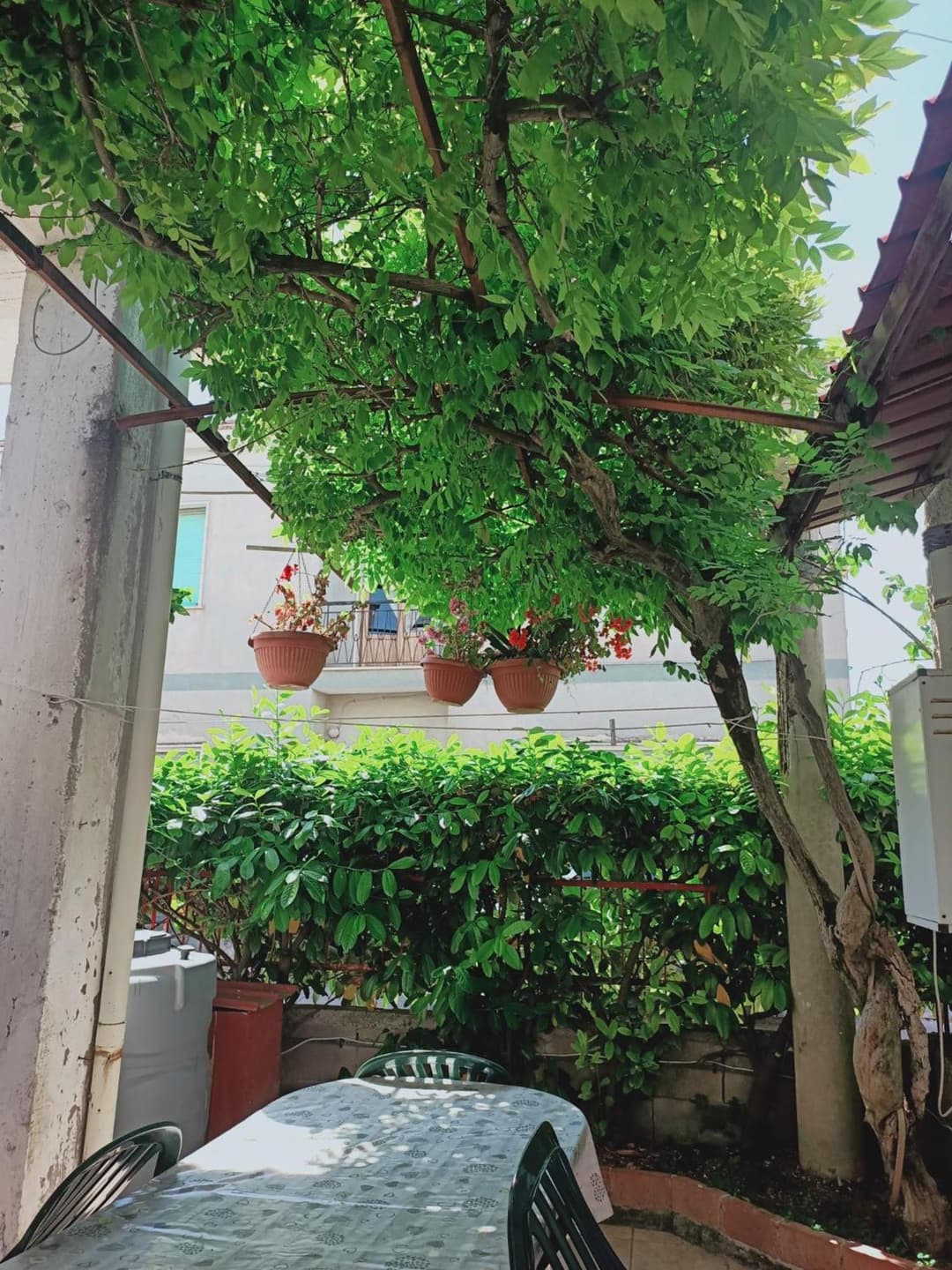 casa giardino — photo 1 of 1