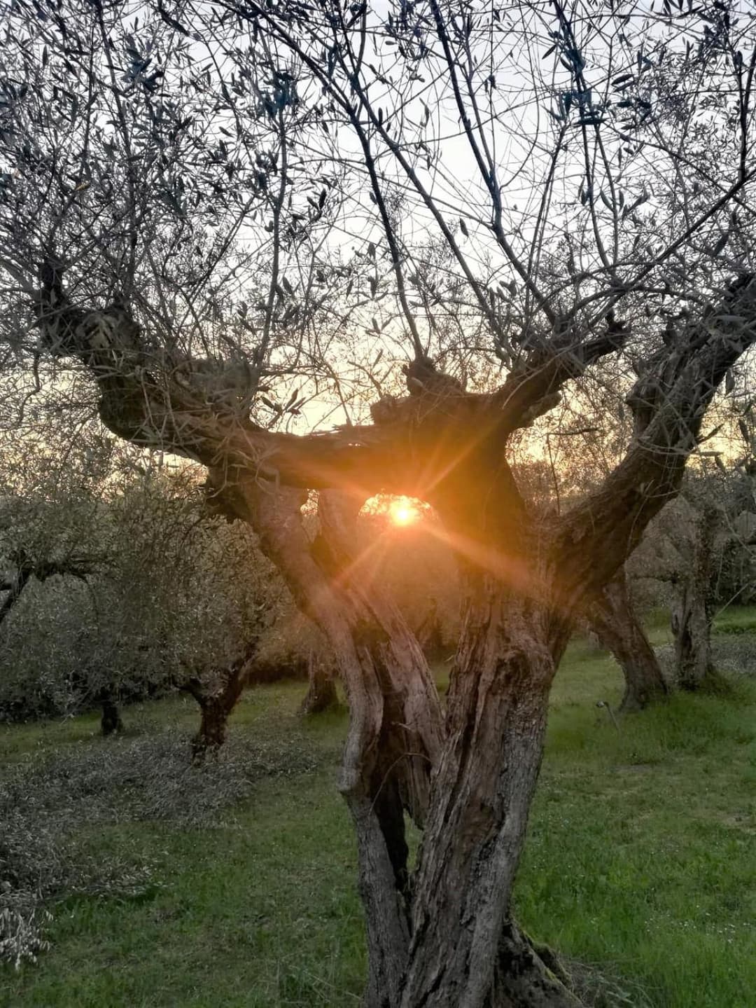 BeBrettino Atipico. Un into the wild tranquillo — photo 1 of 1