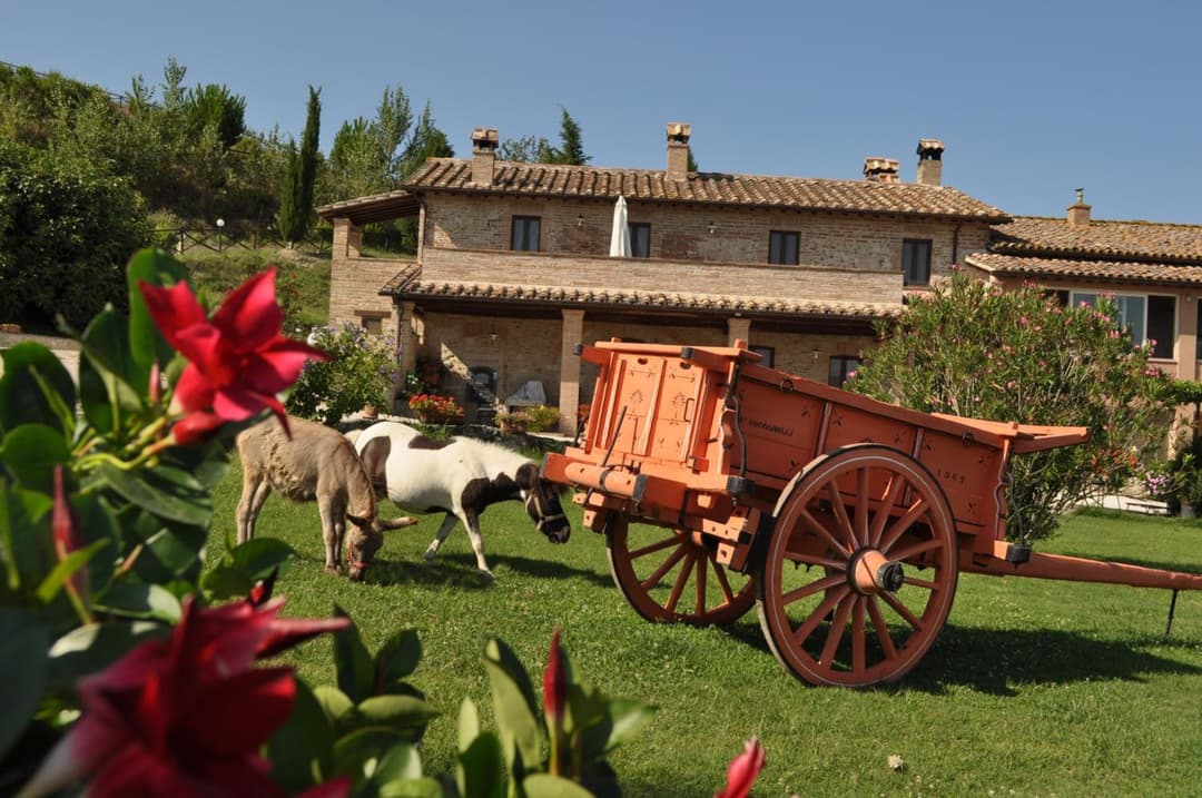 Farm stay Il Carro del Colle — photo 1 of 1