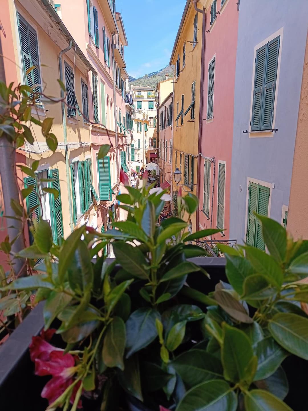 Il Balconcino sul carugio — photo 1 of 47
