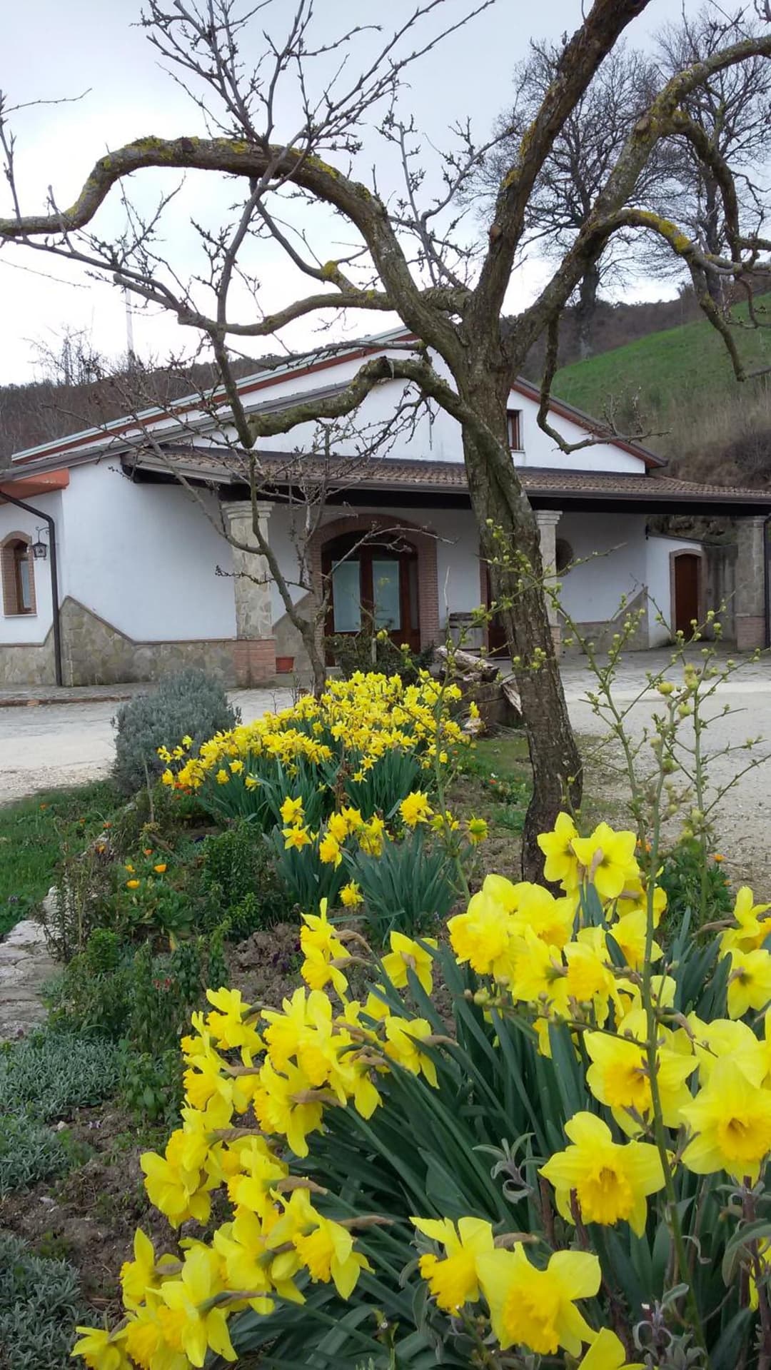 Agriturismo Il Regio Tratturo — photo 1 of 1