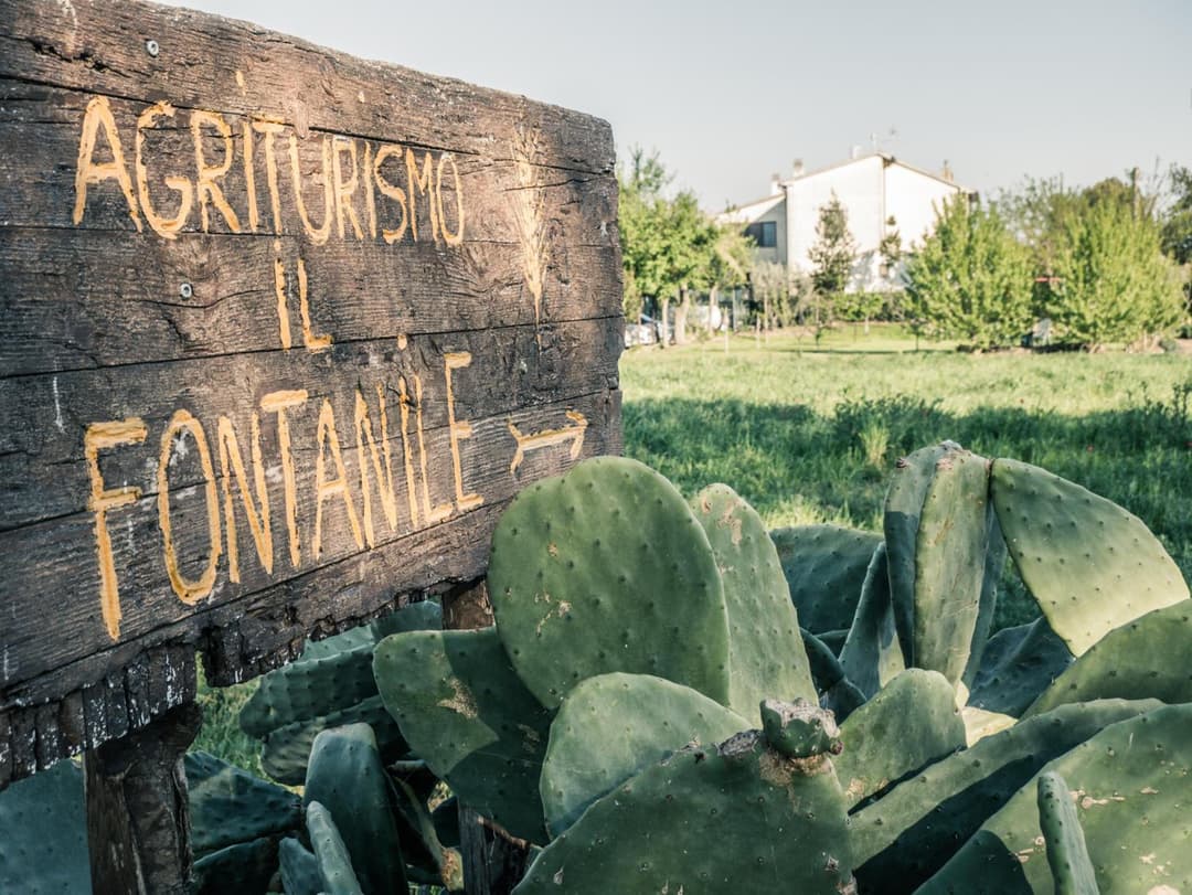 Il Fontanile — photo 1 of 1