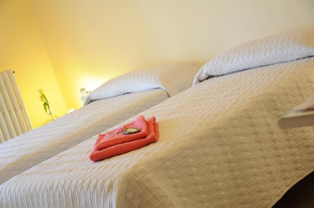 Basic Single Room