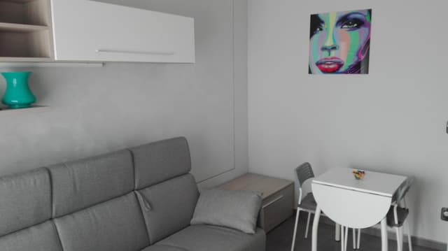 Studio with Sofa Bed