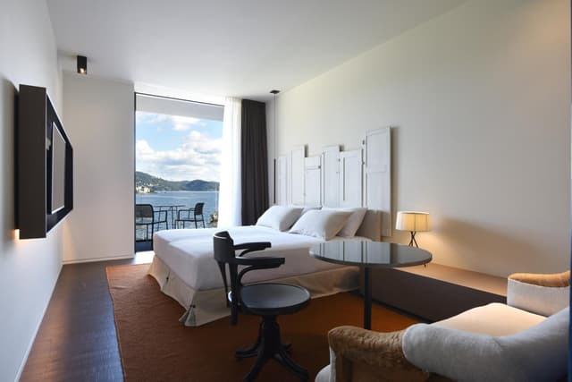 Deluxe Double or Twin Room with Lake View
