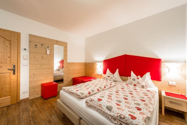 Double or Twin Room with Mountain View