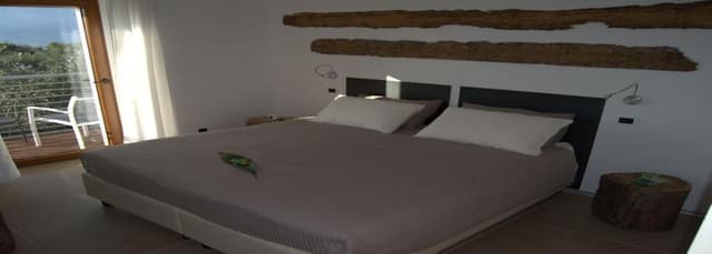 Double or Twin Room with Balcony or Terrace