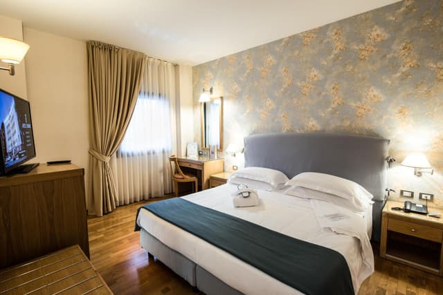 Classic Double Room for Single Use