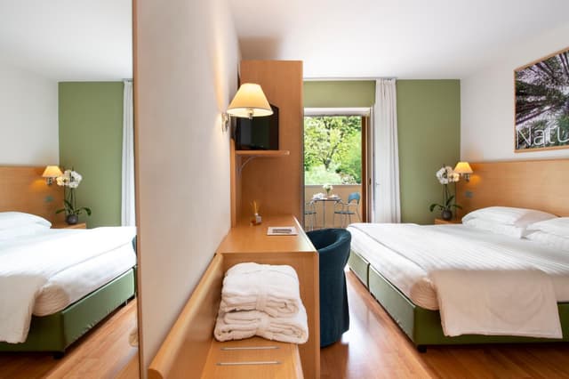 Deluxe Double or Twin Room with Forest View