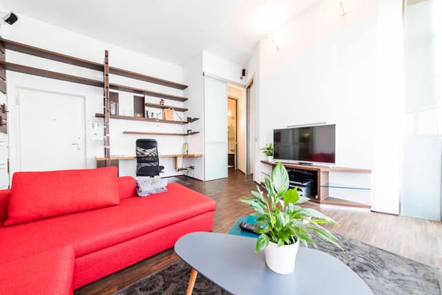 Deluxe Apartment