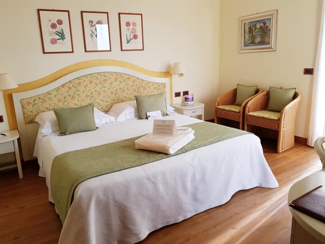 Classic Double Room with Lake View