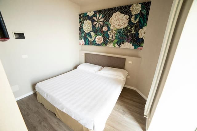 Superior Deluxe Double or Twin Room