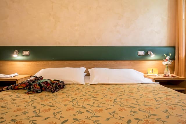 Classic Double or Twin Room
