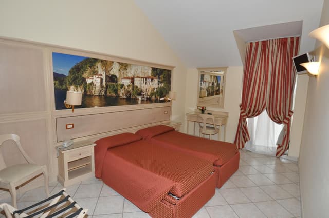 Deluxe Double or Twin Room