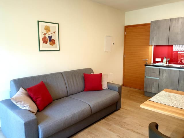 Apartment with Terrace