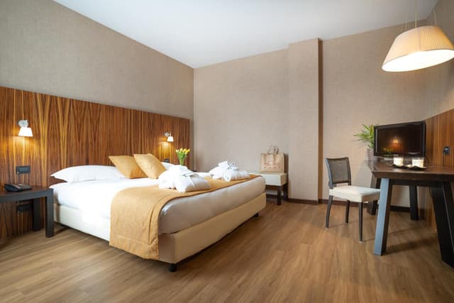 Superior Double or Twin Room