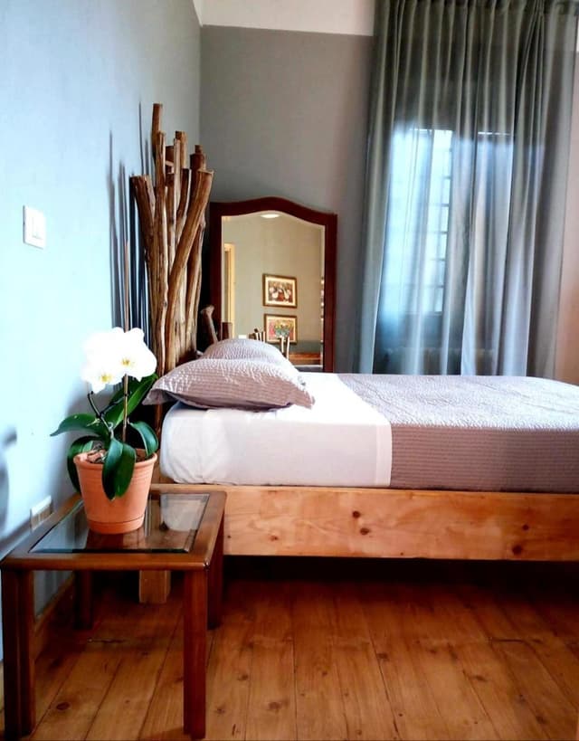 King Room with Garden View