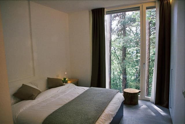 Two-Bedroom Apartment (4 Adults)