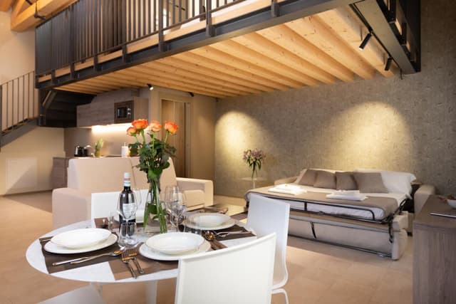Deluxe Apartment