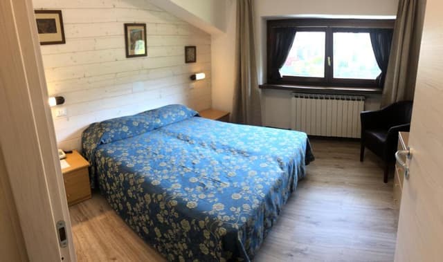 Double or Twin Room
