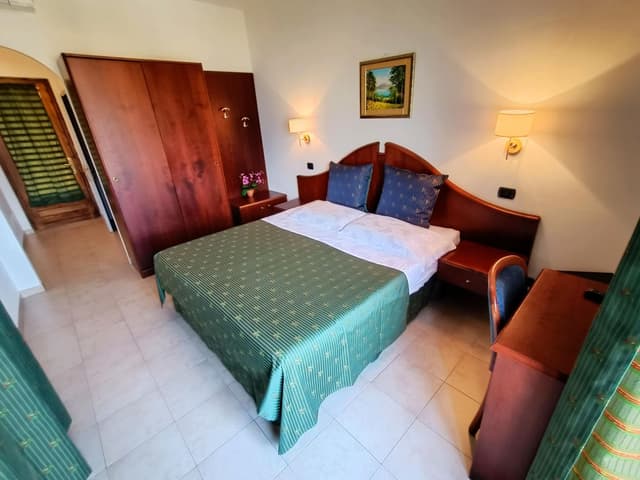 Superior Double Room with Balcony and Lake View