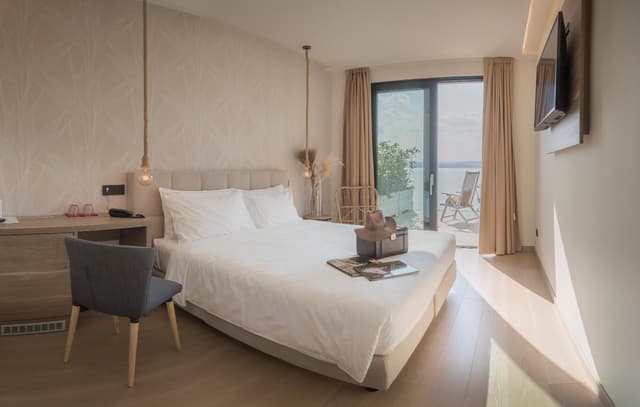 Deluxe Double or Twin Room with Lake View