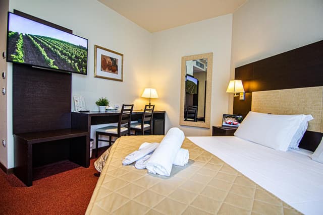 Superior Double or Twin Room