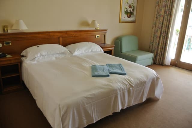 Superior Double or Twin Room with Lake View
