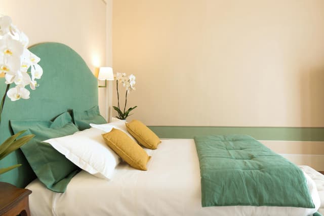 Deluxe Double or Twin Room with Balcony