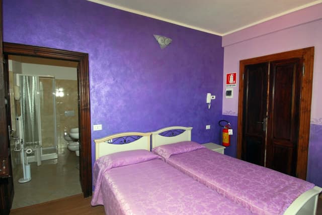 Double or Twin Room