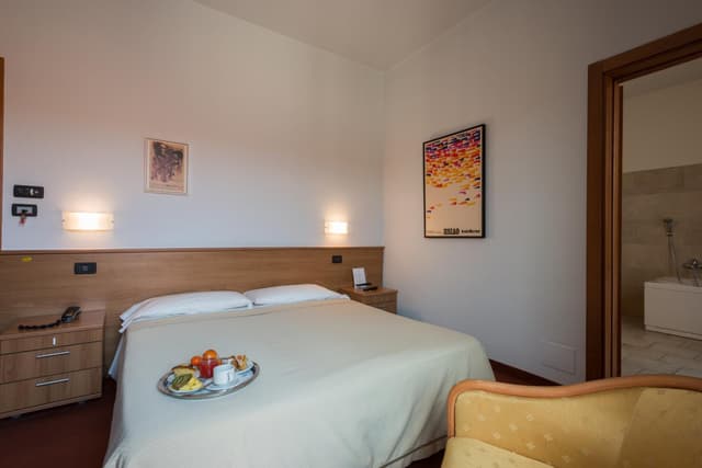Double Room with Single Use