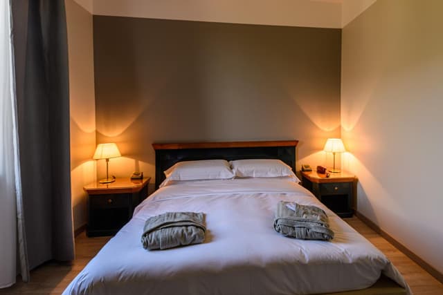 Double or Twin Room with Mountain View