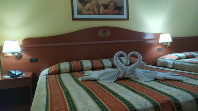 Double or Twin Room