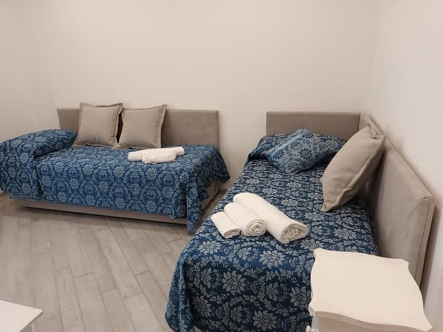 Deluxe  Room with single beds