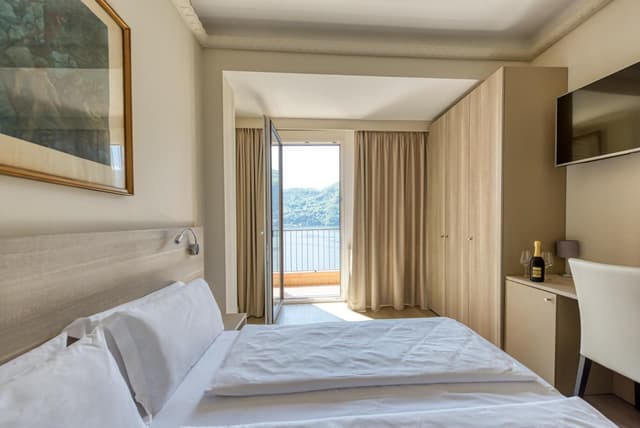 Double Room with Lake View and Balcony