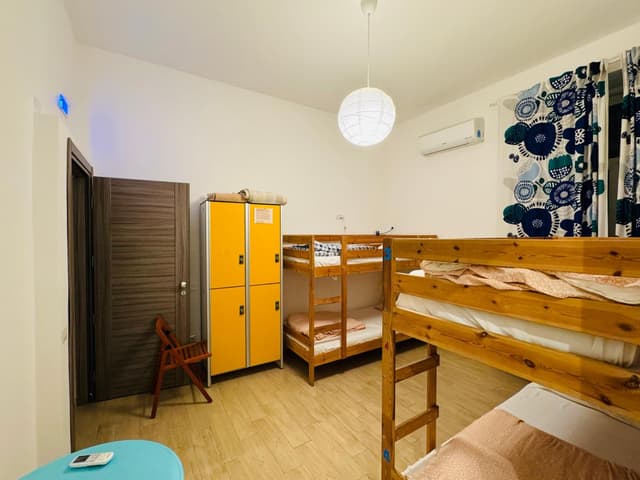 Bed in 4-Bed Mixed Dormitory Room